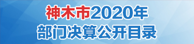 2020年部门决算公开目录