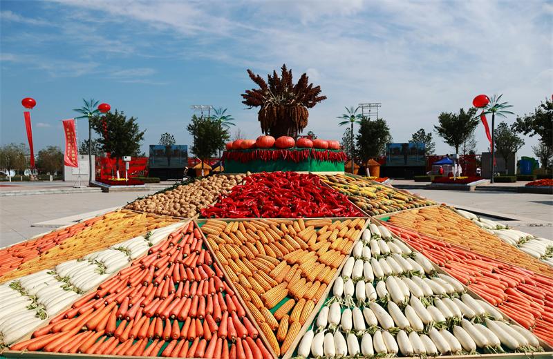 2021年榆林市“中国农民丰收节”神木主会场活动精彩纷呈